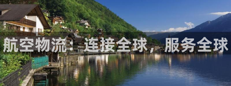 旺财28加拿大真假怎么看：航空物流：