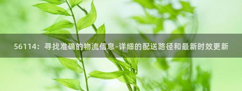 旺财28稳吗
