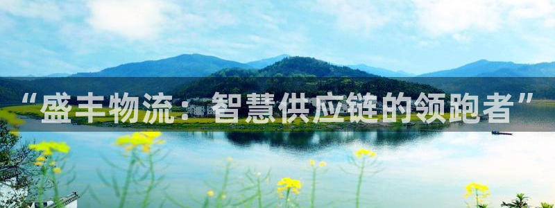 旺财28加拿大技巧：“盛丰物流：智慧