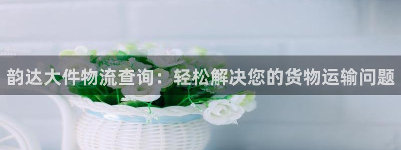 旺财28预测：韵达大件物流查询：轻松