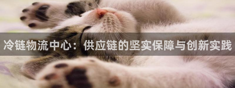 旺财28链接来一个：冷链物流中心：供