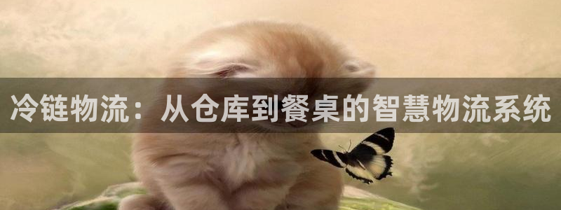 旺财28反水怎么算：冷链物流：从仓库到餐桌的智慧物流系统