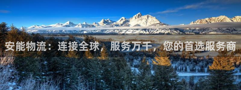 旺财28官网下载链接