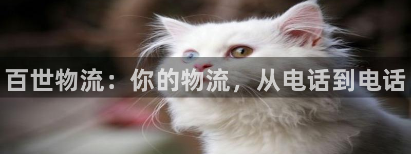 旺财28系统自动保护：百世物流：你的