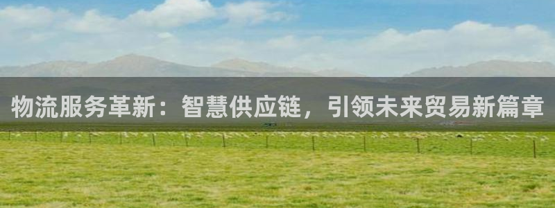 旺财28玩法：物流服务革新：智慧供应
