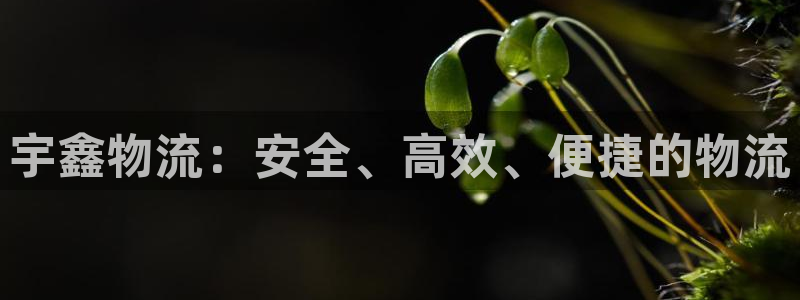 旺财28注册：宇鑫物流：安全、高效、