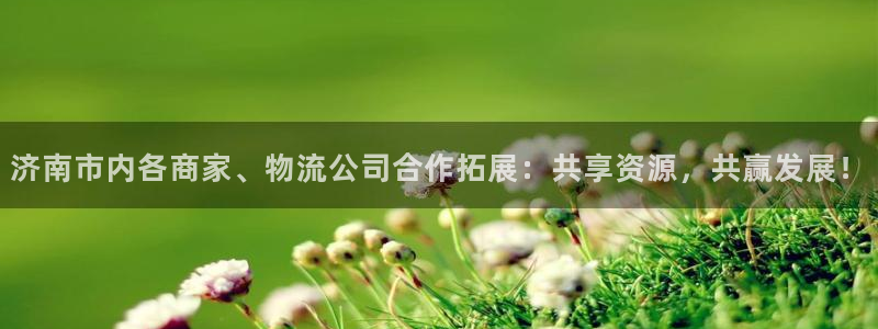 旺财28注册流程：济南市内各商家、物