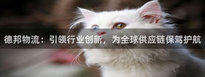 旺财28是什么是赌博吗?：德邦物流：