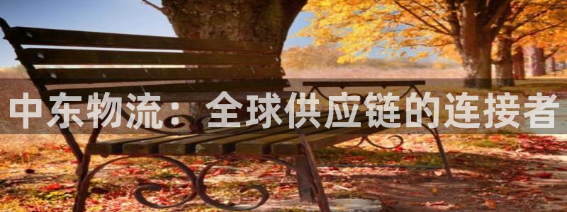 旺财28能提现吗：中东物流：全球供应