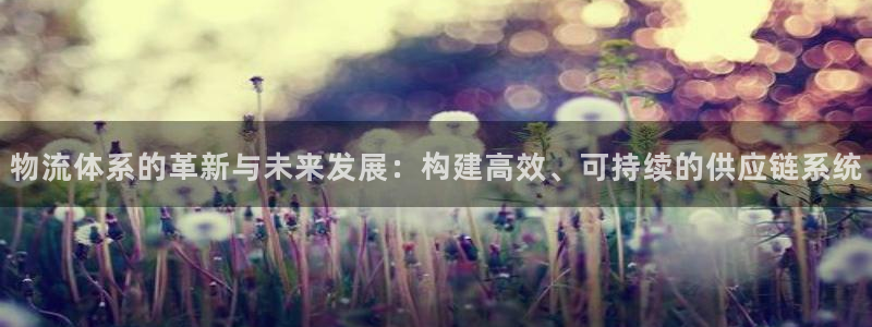 旺财28官网入口：物流体系的革新与未