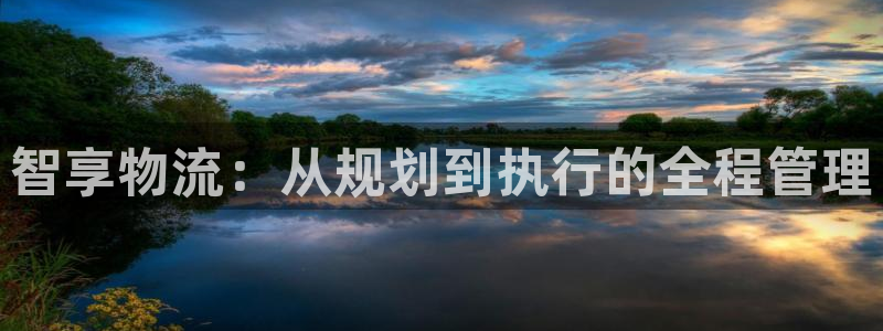 旺财28注册入口与教程:智享物流:从