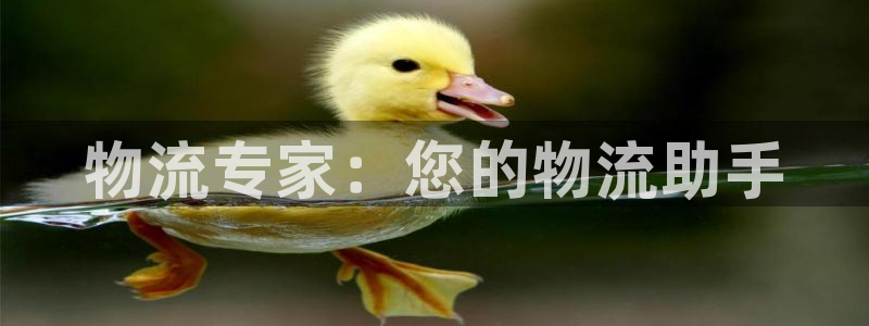 旺财28网赌有什么风险:物流专家:您