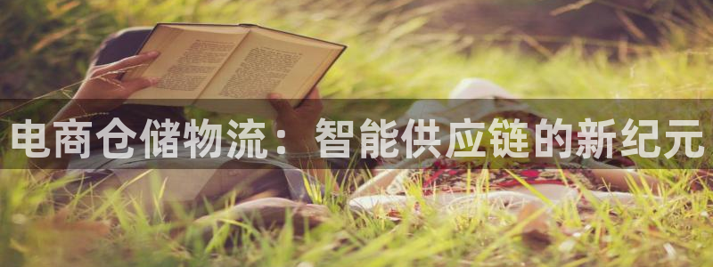 旺财28那个才是充值账号:电商仓储物