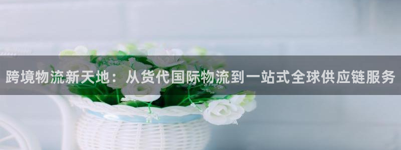 旺财28软件总是闪退怎么回事：跨境物流新天地：从货代国际物流