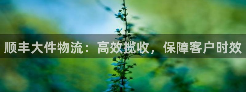 旺财28注册平台:顺丰大件物流:高效