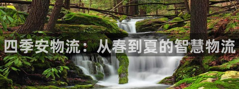旺财28官网网站：四季安物流：从春到夏的智慧物流
