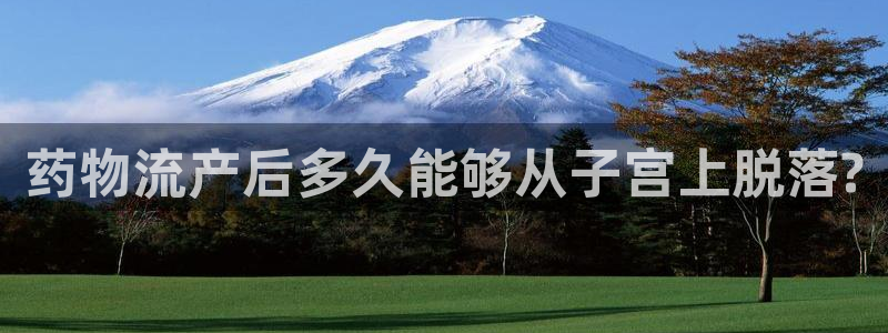 旺财28机器人是什么软件:药物流产后