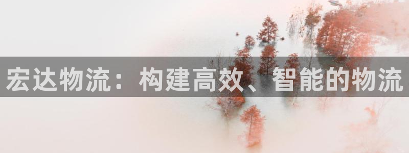 旺财28初始密码在哪里修改：宏达物流