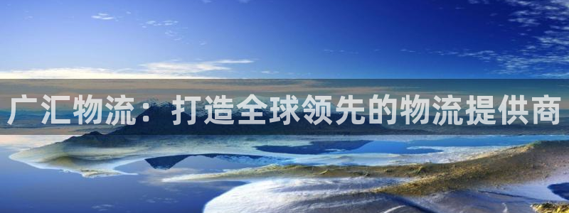 旺财28电子:广汇物流:打造全球领先