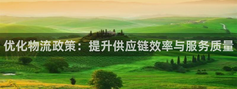 旺财28官网版2024:优化物流政策