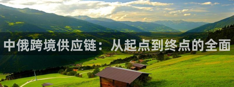 旺财28是什么软件