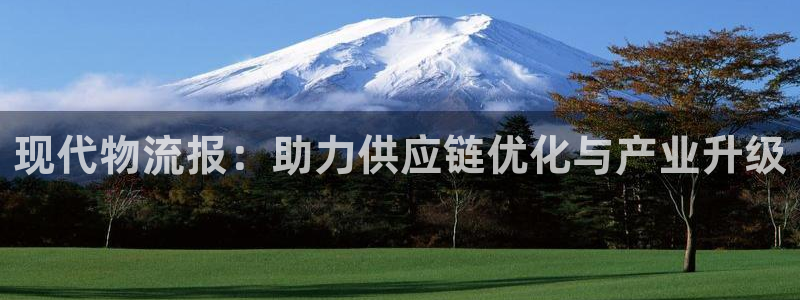 旺财28充值不到账怎么办:现代物流报