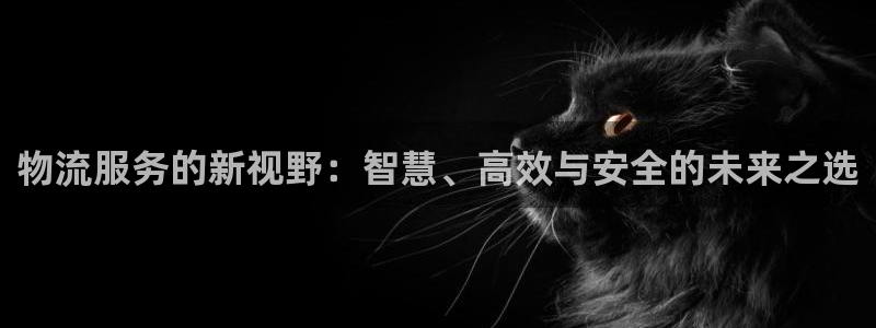 旺财28下分了不给钱：物流服务的新视野：智慧、高效与安全的未