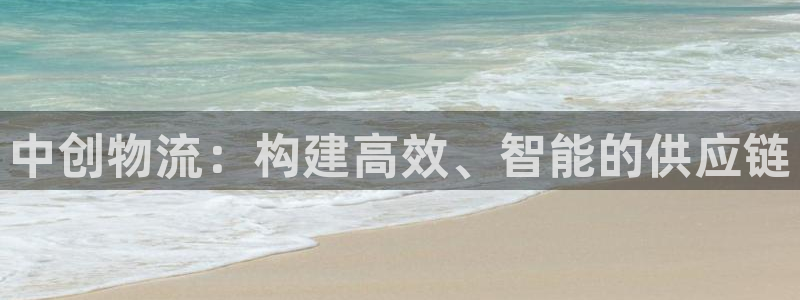 旺财28官网下载链接：中创物流：构建