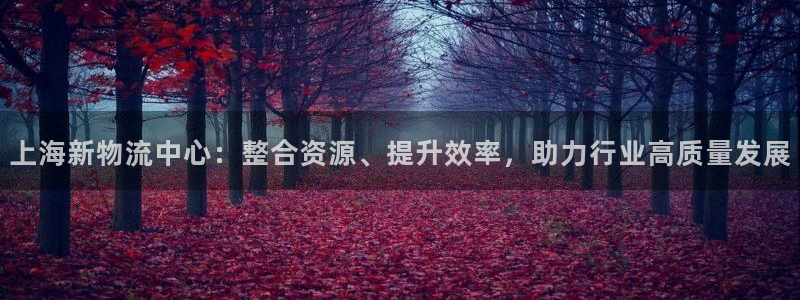 旺财28赌博软件正规吗：上海新物流中