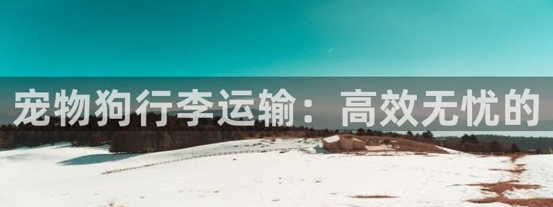 旺财28可以退款吗:宠物狗行李运输: