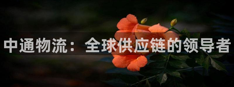 旺财28注册链接:中通物流:全球供应