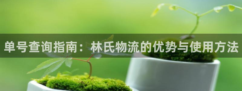 旺财28官网下载多少钱：单号查询指南