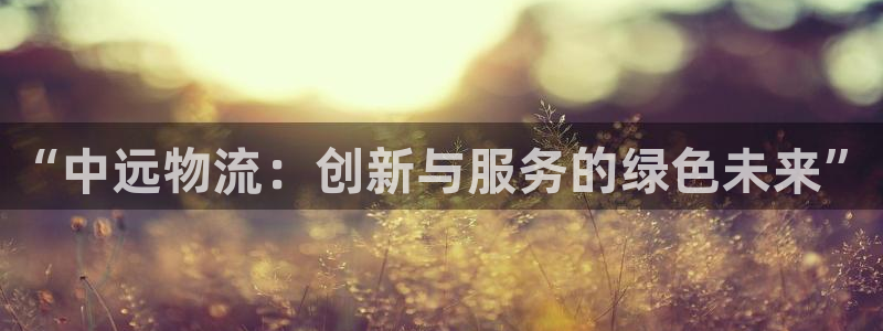 旺财28充值不到账什么原因：“中远物流：创新与服务的绿色未来